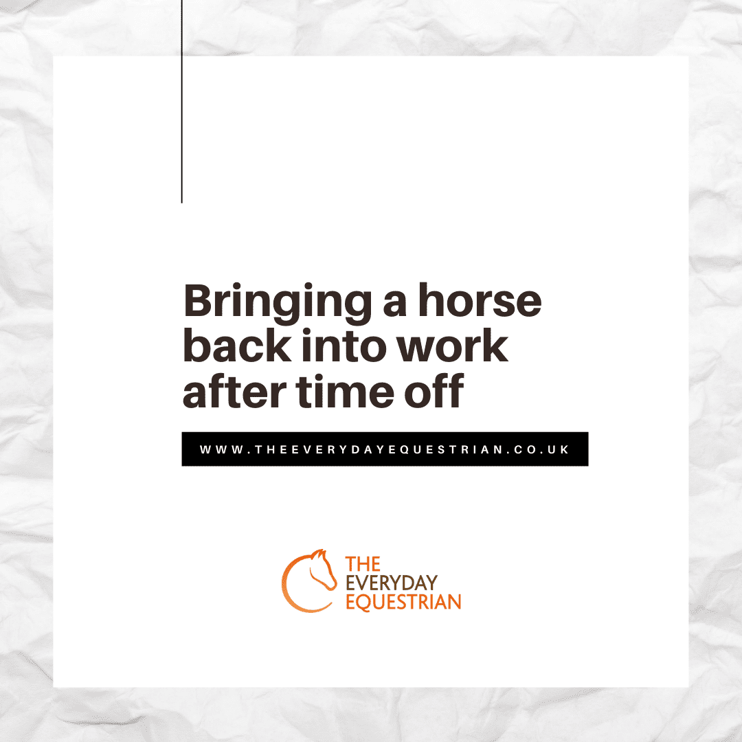 Blog Feature Image-12 Bringing a horse back into work