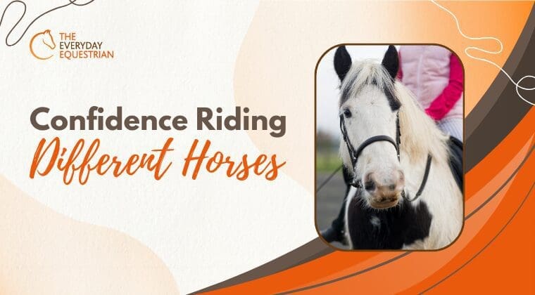 Confidence Riding Different Horses