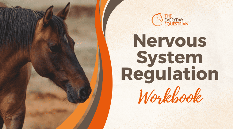 Nervous System Regulation Workbook