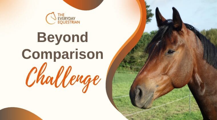 Beyond Comparison Challenge