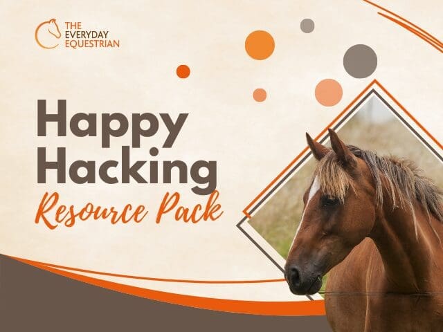 Get back on your horse after a fall